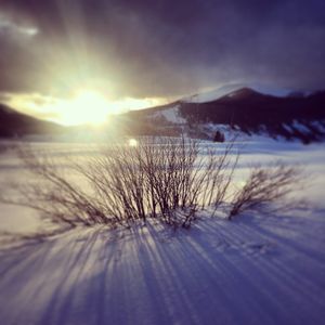 Image post by @skicrestedbutte on Instagram