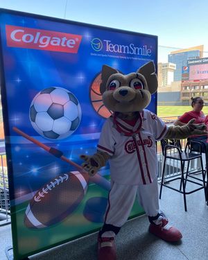 Image post by @chico_epchihuahuas on Instagram