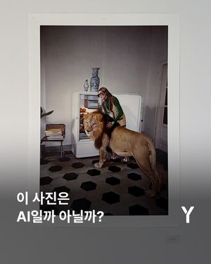Image post by @ymagazine_official on Instagram