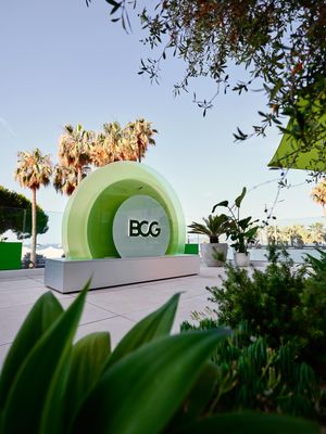 Image post by @bcg on Instagram