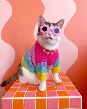 Image post by @champagneunicorns on Instagram