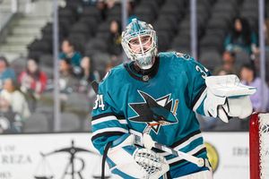 Image post by @sjbarracuda on Twitter/X