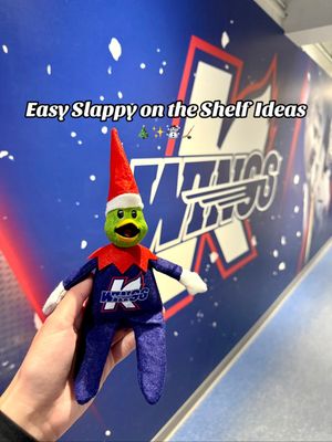 Video post by @kalamazoowings on TikTok