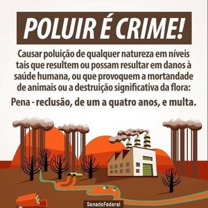 Image post by @operitoambiental on Instagram