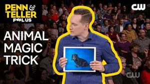 Video post by @thecw on YouTube
