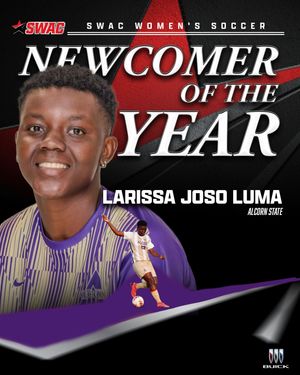 Image post by @theswac on Instagram