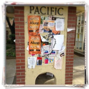 Image post by @pacifictigers on Instagram