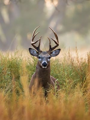 Image post by @joshuafisherphotography on Instagram