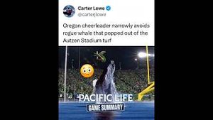 Video post by @houseofhighlights on YouTube