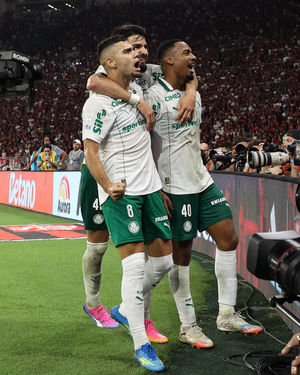 Image post by @palmeiras on Instagram