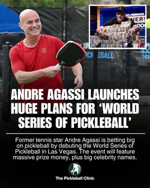 Image post by @thepickleballclinic on Instagram