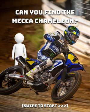 Image post by @americanflattrack on Instagram