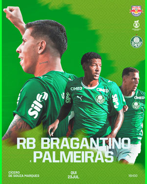 Image post by @palmeiras on Instagram