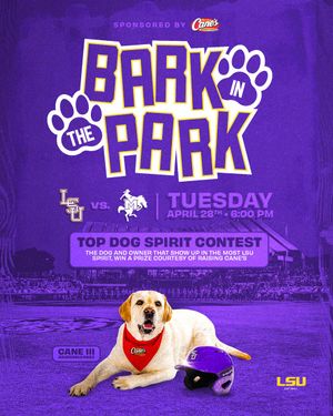 Image post by @LSUsoftball on Twitter