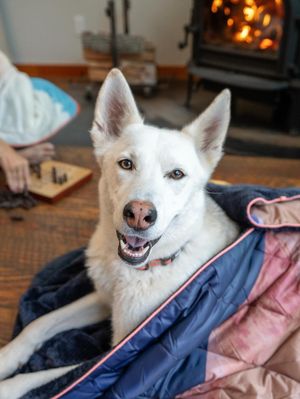 Image post by @gorumpl on Instagram