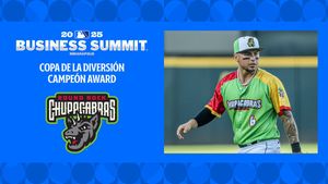 Image post by @MiLB on Twitter