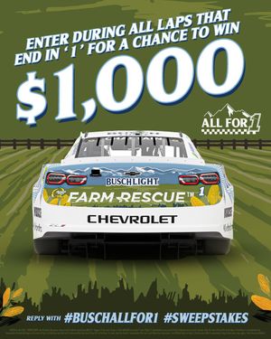 Image post by @BuschBeer on Twitter
