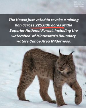 Image post by @centerforbiodiv on Instagram