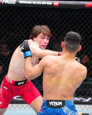 Image post by @ufc_brasil on Instagram