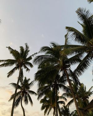 Image post by @aureliehemar on Instagram