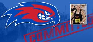 Image post by @RiverHawkXCTF on Twitter