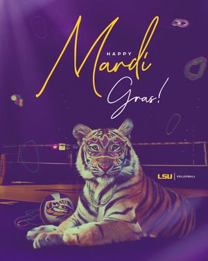 Image post by @lsuvolleyball on Twitter