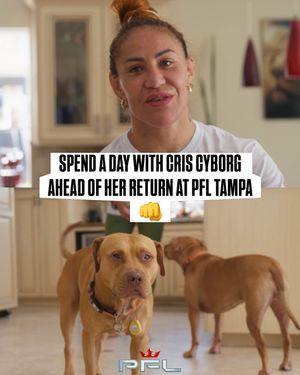 Image post by @pflmma on Instagram