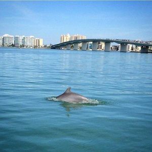 Image post by @visitsarasotacounty on Instagram