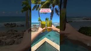 Video post by @jasminealleyblog on YouTube
