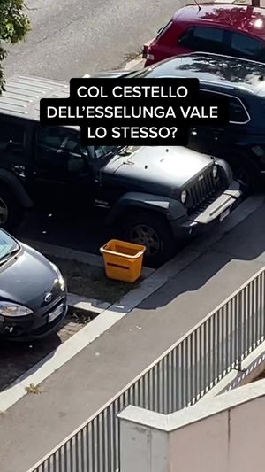 Video post by @il_milanese_imbruttito on TikTok