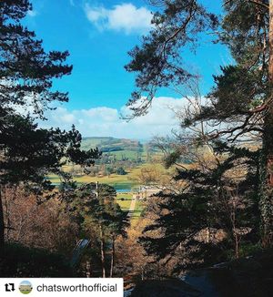 Image post by @candmclub on Instagram