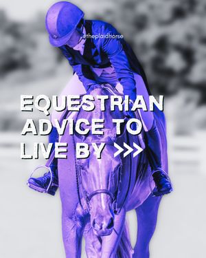 Image post by @theplaidhorsemag on Instagram
