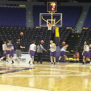 Image post by @sfa_wbb on Instagram