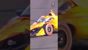 Video post by @indycaronfox on YouTube