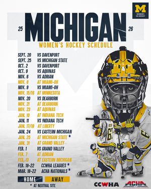 Image post by @umichwhockey on Instagram