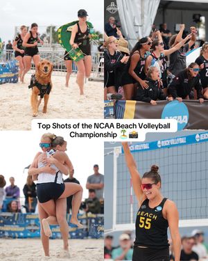 Video post by @ncaavolleyball on TikTok