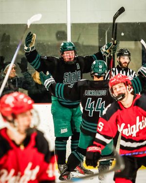 Image post by @fschockey on Instagram