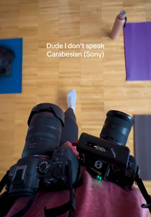 Video post by @byhaleyjo on TikTok