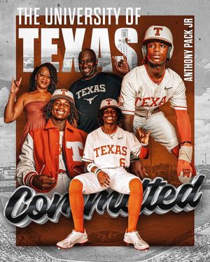 Image post by @theeantpack on Twitter