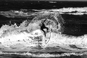 Image post by @taylornewtonphoto on Instagram