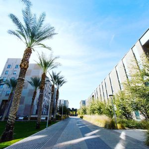 Image post by @arizonastateuniversity on Instagram