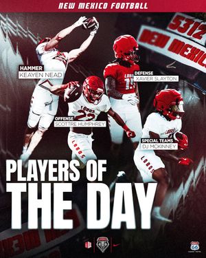 Image post by @unmlobofb on Instagram
