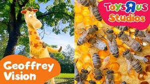 Video post by @toysrus on YouTube