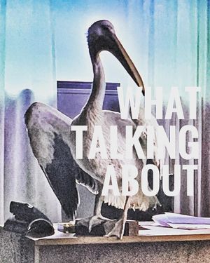 Image post by @enricofabbri_acrossdesign on Instagram