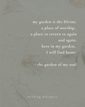 Image post by @thewildingcollective on Instagram