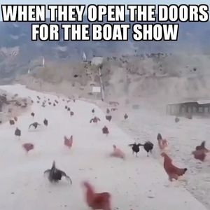 Video post by @MuskokaBoatGallery on Facebook