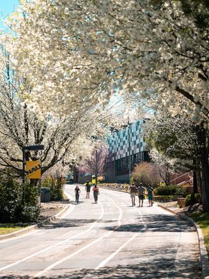 Image post by @nauflagstaff on Instagram
