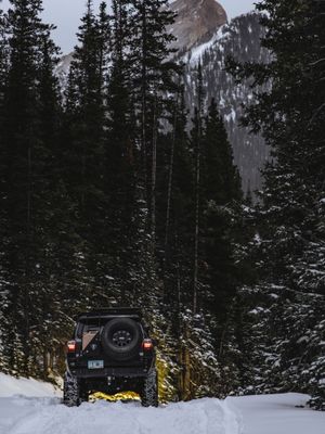 Image post by @dobinsonsusa on Instagram