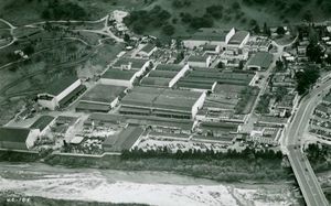 Image post by @cowmissing on Instagram