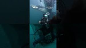 Video post by @20thcenturystudios on YouTube